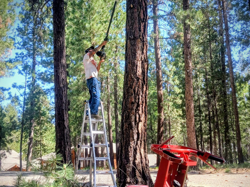 Wildfire-Mitigation-2-2