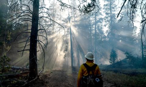 donnell-fire-stanislaus-national-forest